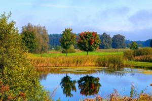 a pond with trees reflecting in the water at TINY HOUSE FLEESENSEE mit eigenem Garten und nur wenige Meter vom Seeufer in Unter Göhren