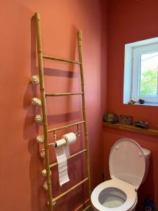 a bathroom with a ladder next to a toilet at Maison semi individuelle avec jardin in Ambleteuse