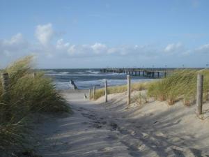 a giraffe walking on a beach next to the ocean at Ferienwohnung Anker in Graal-Müritz