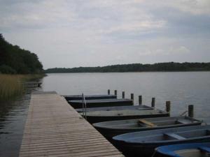 a group of boats parked at a dock on a lake at Ferienwohnung am Kreßinsee in Strietfeld