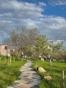 a path in a field with two animals laying in the grass at Madoyans Rest House in Antarut