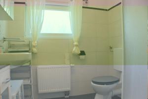 a bathroom with a toilet and a sink and a window at Ferienhaus An der Riede in Bedekaspel
