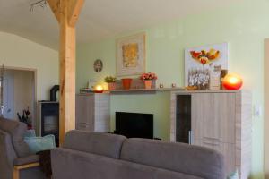 a living room with a couch and a fireplace at Ferienhaus An der Riede in Bedekaspel