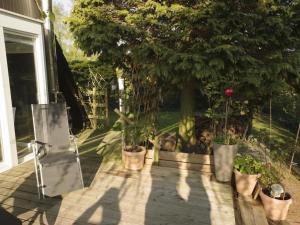 a porch with potted plants on a house at Ladwig - Ferienhaus Adda in Südbrookmerland