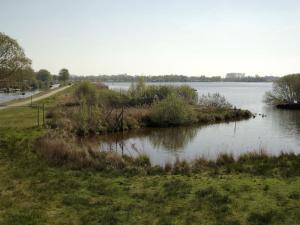 a large body of water with ducks swimming in it at Ladwig - Ferienhaus Adda in Südbrookmerland