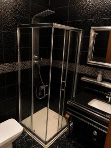 a shower in a bathroom with a toilet and a sink at Villa Élégance in Tunis