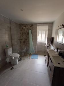 a bathroom with a shower and a toilet and a sink at Un air de campagne climatisé - Cure thermale ou vacances in Saint-Loubouer