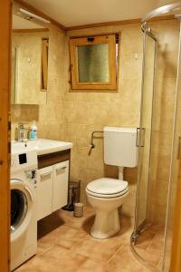 a bathroom with a toilet and a sink and a shower at Kucica Enterprise-Ada Bojana in Ulcinj +11 photos