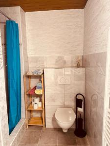 a bathroom with a toilet and a blue shower curtain at Apartmán Kristínka in Lendak +32 photos