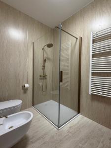 a bathroom with a shower and a toilet and a sink at Apartman Emaus in Međugorje +2 photos