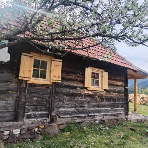 an old log cabin with two windows and a tree at Zlatibor Koliba Laki in Zlatibor
