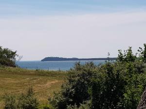 a view of the ocean from a field with bushes at Fewo 18 im Strandhaus Lobbe mit Balkon in Lobbe