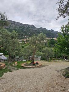 a gravel road with trees and mountains in the background at Bungalows at Mali Camp Kruje with Pool in Krujë