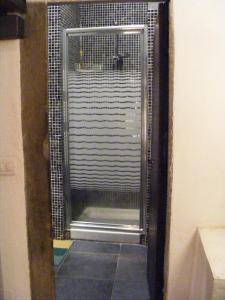 a shower with a metal gate in a bathroom at Pitti House in Florence