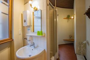 a bathroom with a sink and a toilet and a mirror at Hotel Jagdschloss Letzlingen in Letzlingen +79 photos