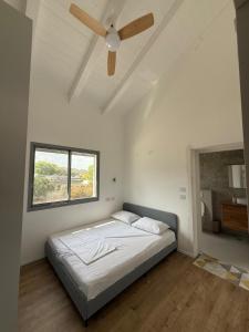 a bedroom with a bed with a ceiling fan at שחף על הכנרת in HaOn