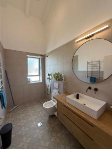 a bathroom with a sink and a toilet and a mirror at שחף על הכנרת in HaOn +45 photos