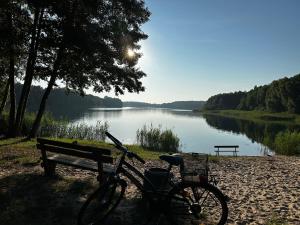 a bike parked next to a bench next to a lake at Ferienhaus Kronseeliebe in Lychen