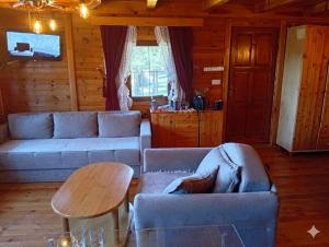 a living room with two couches and a table at Careva voda 1 in Dobroselica