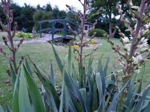 a garden with a bench in the background with flowers at Pribbenower Ferienhaus in Pribbenow