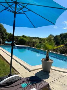 a blue umbrella and a potted plant next to a pool at B&B Buddleja in Saint-Hilaire-les-Places +9 photos