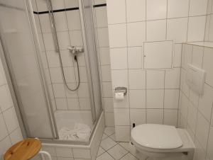 a bathroom with a shower and a toilet at Hermannstr 14-Whg 10 in Kühlungsborn