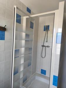 a bathroom with a shower with blue and white tiles at point baie studio 1 in Abbeville