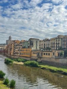 a group of buildings next to a river at Rambla Riverview in Girona +14 photos