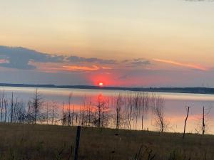 a sunset over a body of water with trees at SeeNest Lieske in Lieske +34 photos