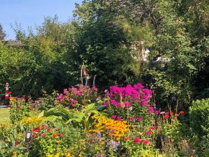 a garden filled with lots of colorful flowers at Luzie's Hus in Freest