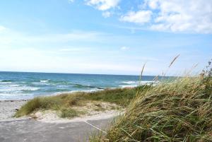 a sandy beach with grass and the ocean at Hotel Hiddensee Hitthim in Kloster
