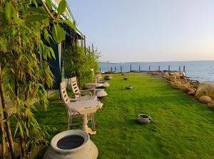 a row of chairs sitting on the grass near the ocean at Refuge Boutique Villa in Hikkaduwa