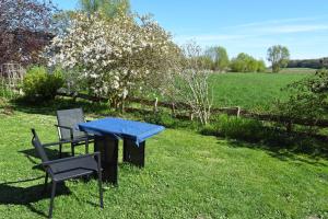 a blue table and two chairs in a field at Ferienwohnung an den Vilmnitzer Wi in Vilmnitz