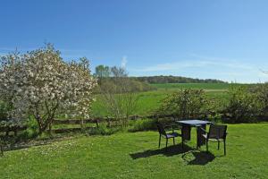 a picnic table and two chairs in a field at Ferienwohnung an den Vilmnitzer Wi in Vilmnitz +16 photos