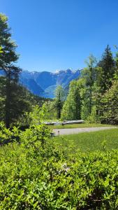 a green field with trees and mountains in the background at Ferienhaus Pilz Marion in Bad Goisern