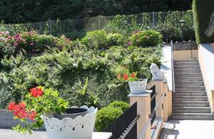 a garden with flowers in pots on a fence at Appartement Ferienwohnung Bilek in Gmunden