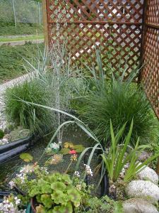 a garden with plants and a water fountain at Appartement Ferienwohnung Bilek in Gmunden