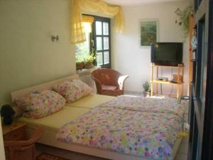 a bedroom with a bed with pillows and a television at Ferienwohnung Ziebell in Bollewick