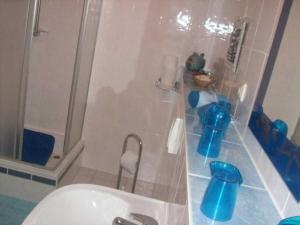 a small bathroom with a shower and a sink at Ferienwohnung Ziebell in Bollewick