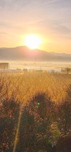 a field with the sun setting in the horizon at Villa Olivia in Elbasan