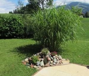 a bush in a garden with rocks and plants at Appartements Wörgötter Astrid & Sepp in Rettenbach