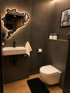 a bathroom with a toilet and a sink at M&M Apartment Air Conditioning Garage in Adenau +4 photos