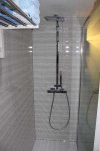 a shower in a bathroom with a glass door at Gästehaus Schwien in Rust