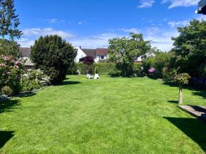 a large lawn with two chairs in a yard at Tiny house with charm in Bremen +1 photo