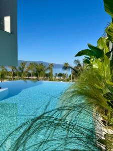 a view of a swimming pool next to a house at Padma Hotel in Vlorë