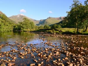 a flock of birds on a river with mountains in the background at Blythswood in Glenfinnan