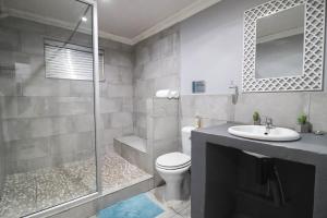 a bathroom with a shower and a toilet and a sink at African Sands Guesthouse in Bloemfontein +44 photos