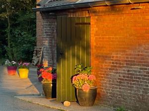 a green door with potted plants on a brick building at Gulfhof Friedrichsgroden in Carolinensiel