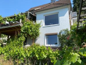 a house with a bunch of plants in front of it at Ferienwohnung in Hannoversch Münden