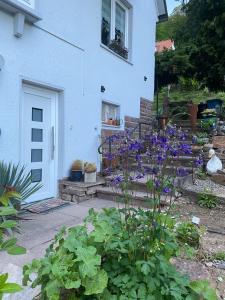 a garden with purple flowers in front of a white house at Ferienwohnung in Hannoversch Münden